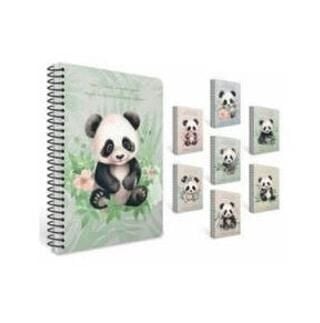 GIPTA FRENDLY NOTES SP. KARTON KAPAK DEFTER A6 80 YP. ÇİZGİLİ