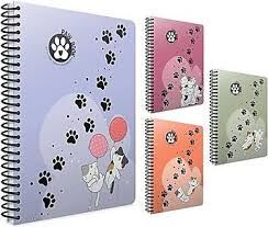 PAW SP.PP KAPAK DEFTER A4 80 ÇİZGİLİ