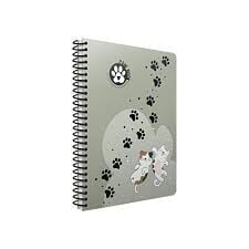 KINGS BOOK SP PP KAPAK DEFTER A4 80 YP ÇİZGİLİ