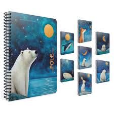 POE NOTES SP PP KAPAK DEFTER A4 80 ÇİZGİLİ