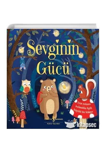 SEVGİNİN GÜCÜ-Caroline Richards
