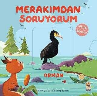 Merakimdan Soruyorum-Orman