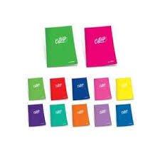 DEFTER A4 80YP ÇİZGİLİ PP KAPAK ÇINAR
