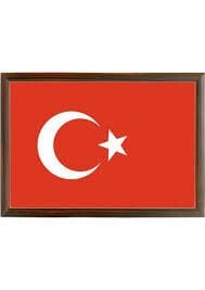 AKYAZI AHŞAP BAYRAK 20x30